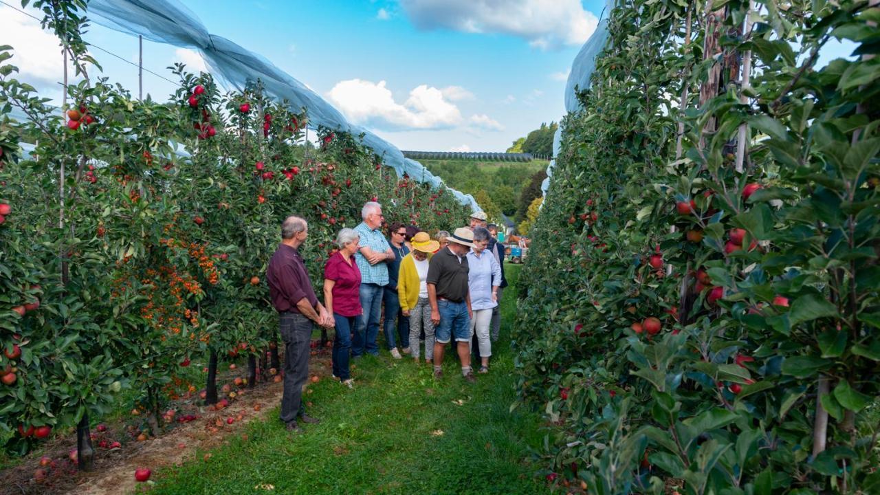 Vakantie Oord Zonnehoeve Valkenburg aan de Geul Екстер'єр фото